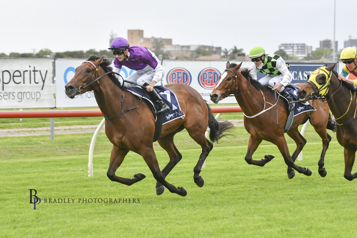 Gary Harley – Wrap – 30.10.21