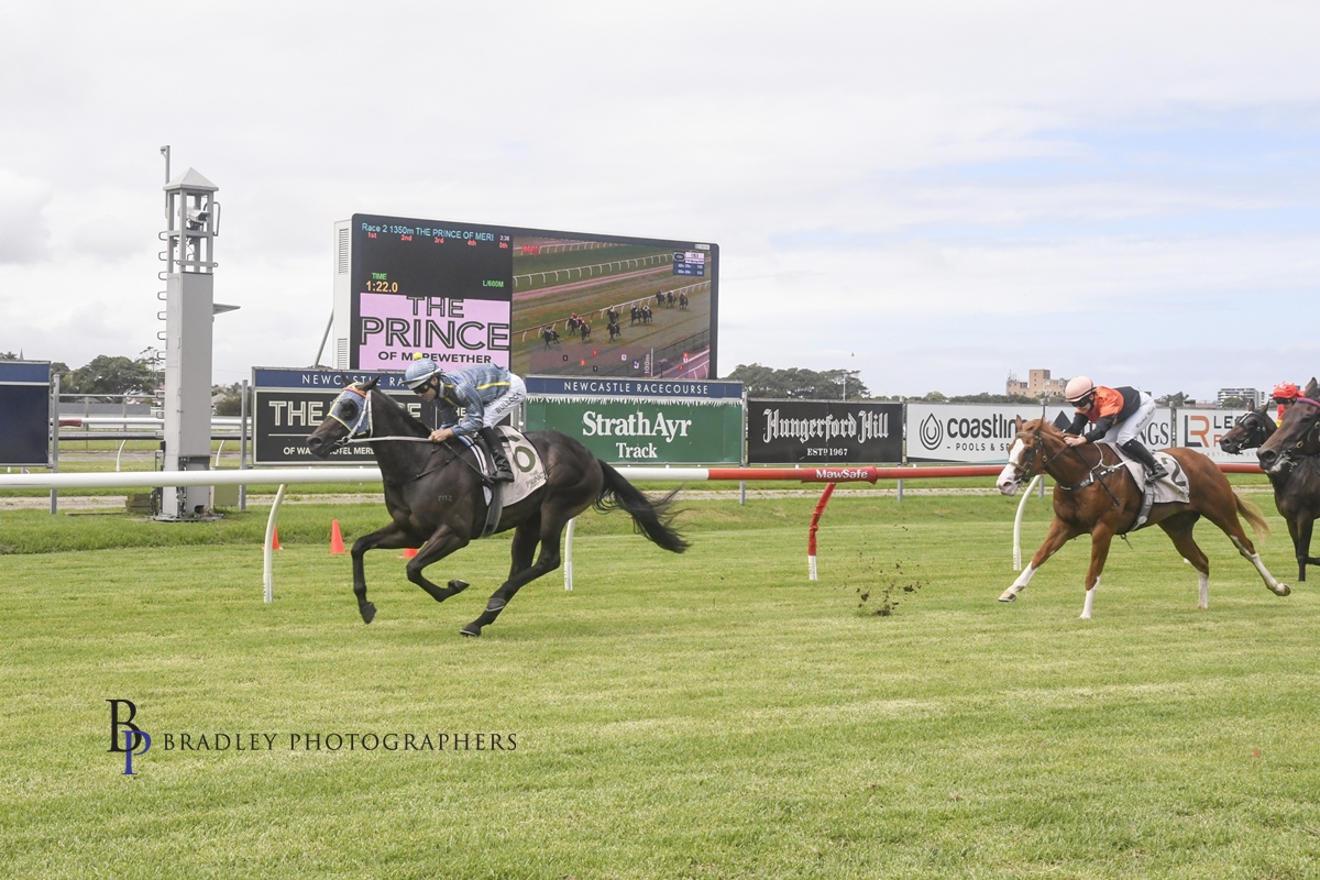 Gary Harley – Wrap – 23.11.21