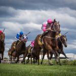 The Horsepower Newcastle Newmarket Race Day