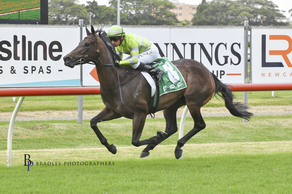 Gary Harley – Wrap – 04.12.21