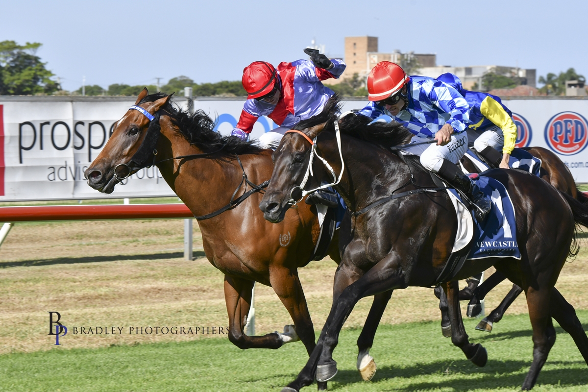 Gary Harley – Preview – 31.01.22