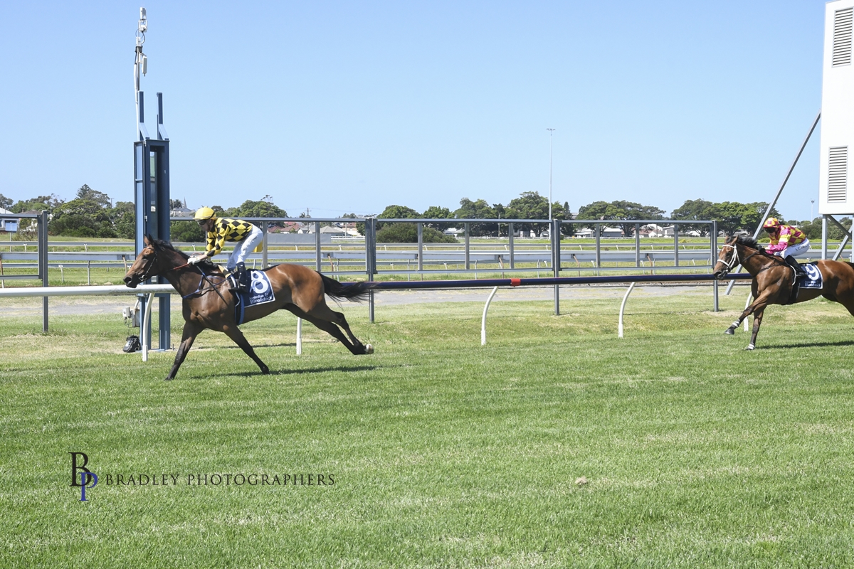 Gary Harley – Beaumont Wrap – 13.12.21