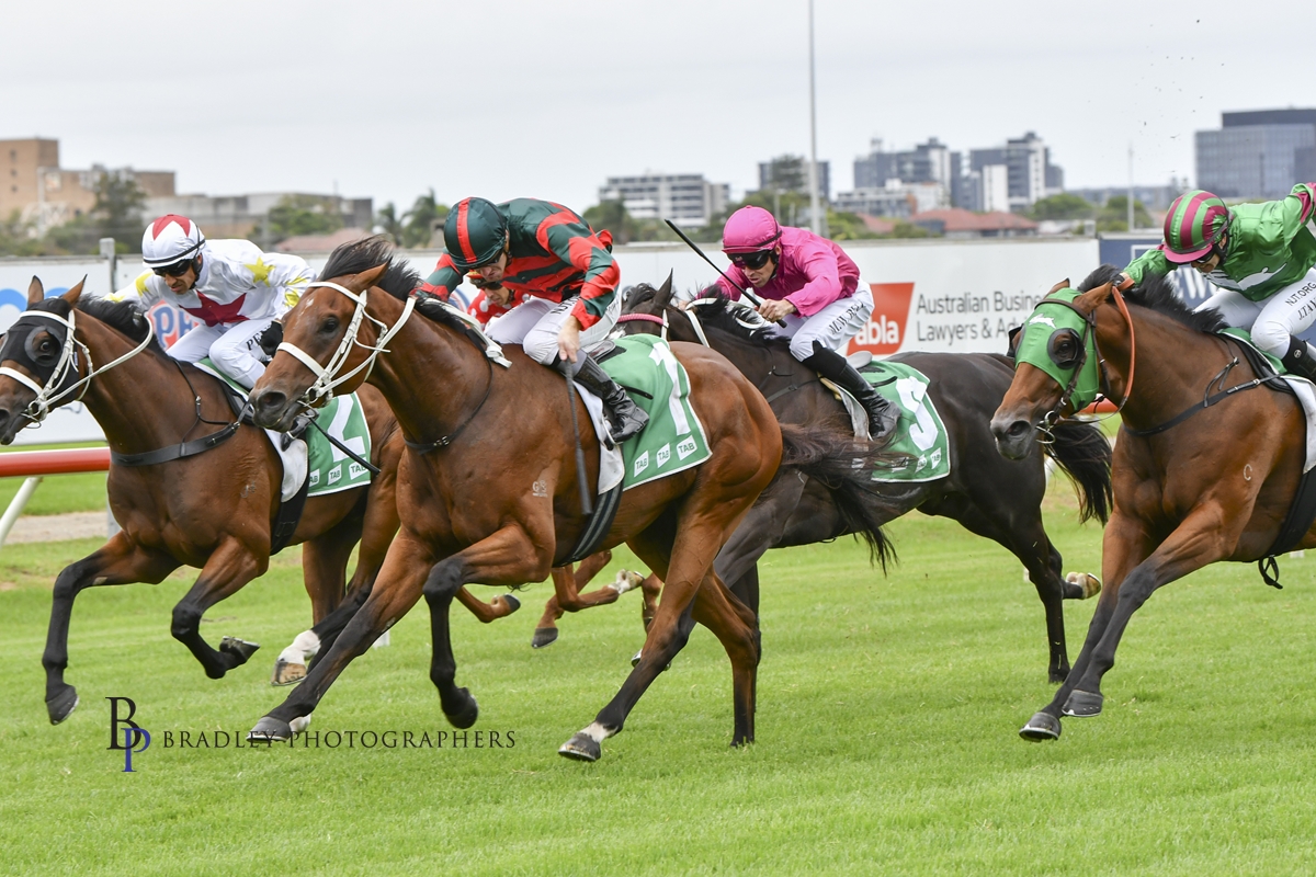 Gary Harley – Wrap – 26.02.22