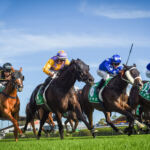 Rosehill Gardens Races rescheduled to Newcastle: Stakes Day