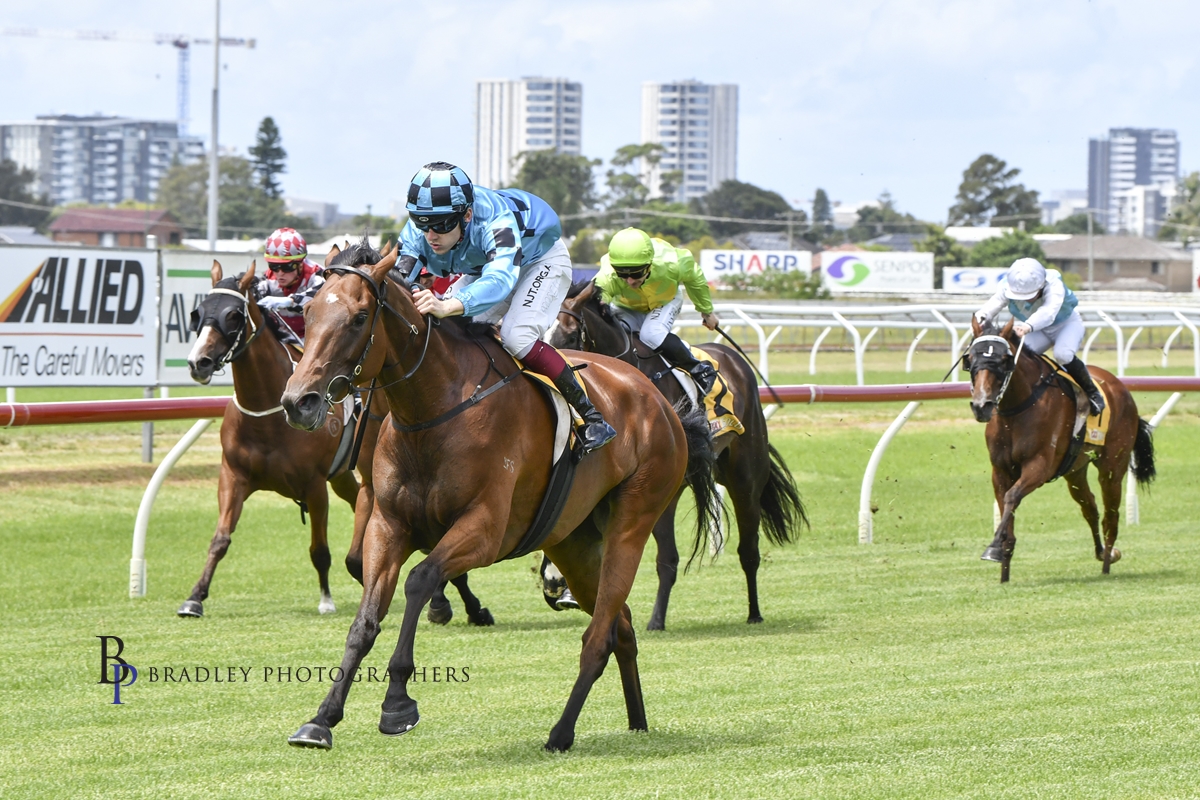 Gary Harley – Wrap – 05.02.22