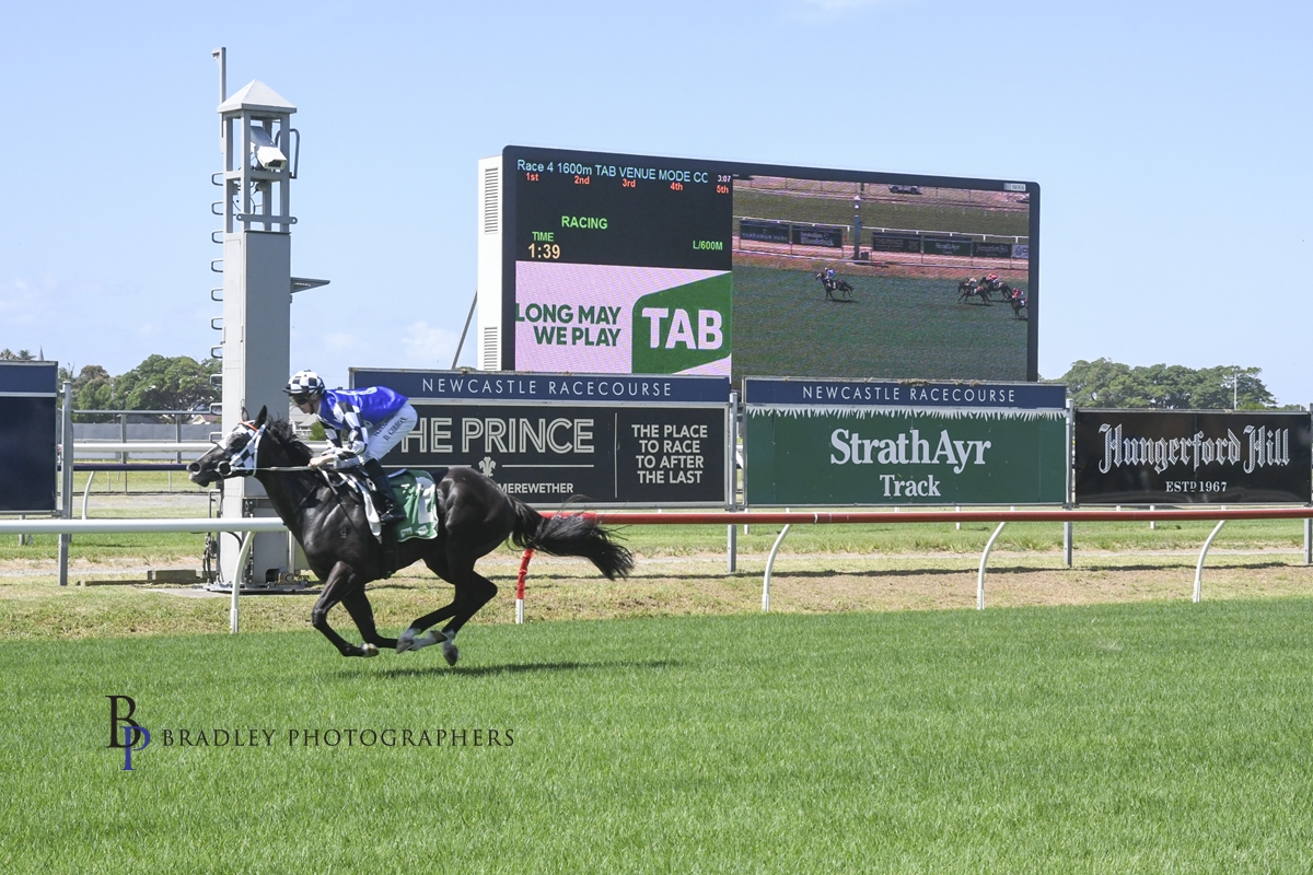 Gary Harley – Wrap – 29.01.22