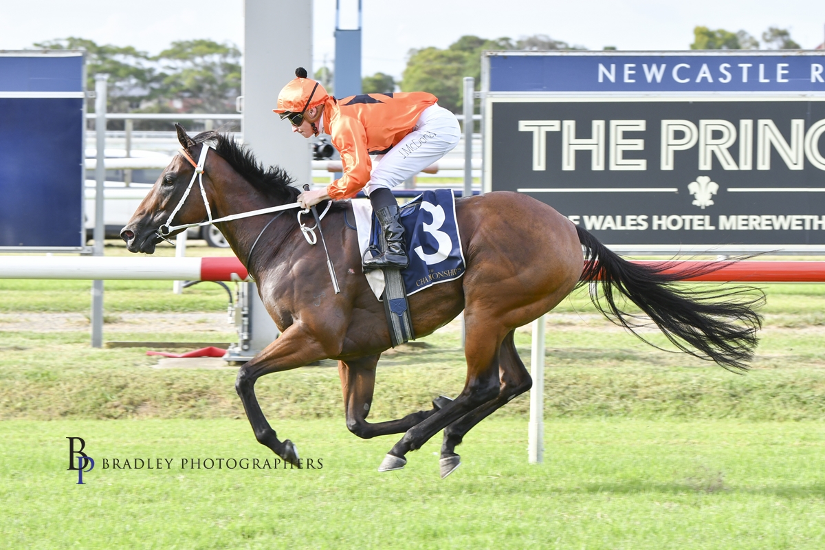 Gary Harley -Newcastle Wrap – 17.03.22