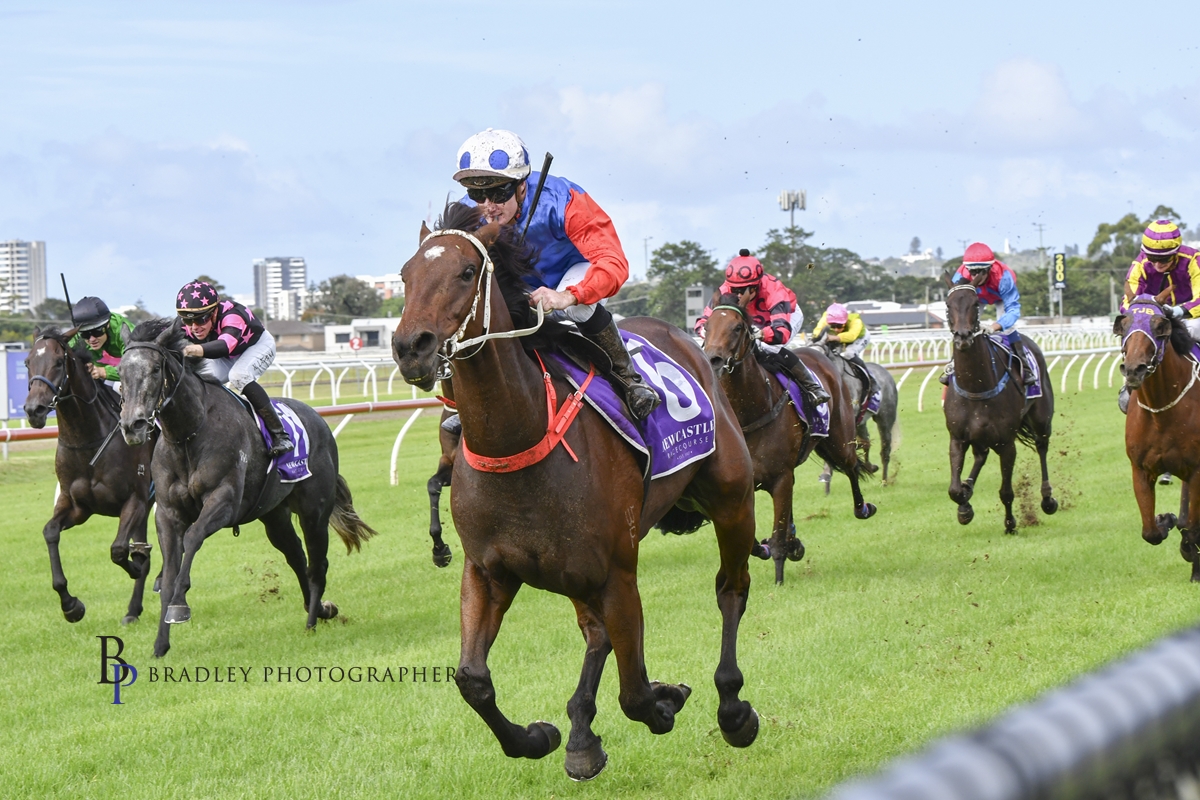 Gary Harley Wrap – 09.04.22