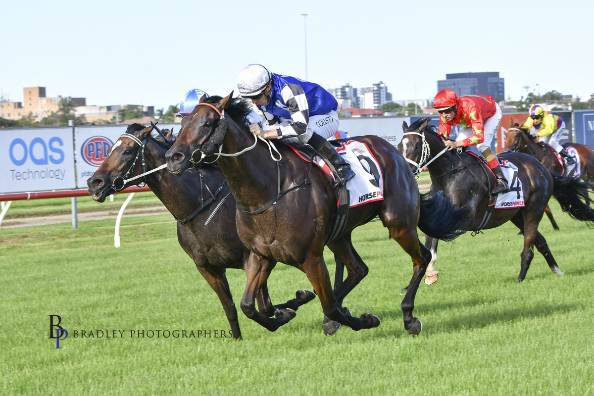 Gary Harley – RNSW – March 2022