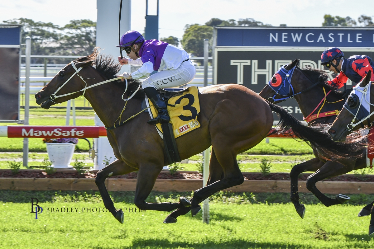 Gary Harley – Wrap – 14.05.22