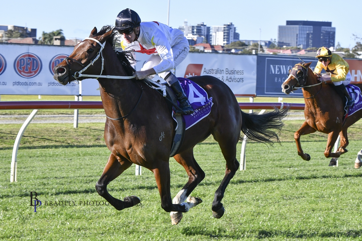 Gary Harley – Wrap – 11.06.22