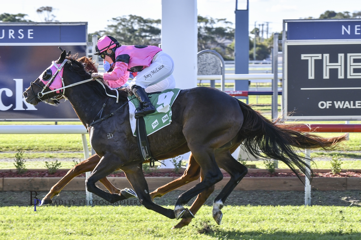 Gary Harley – Wrap – 04.06.22