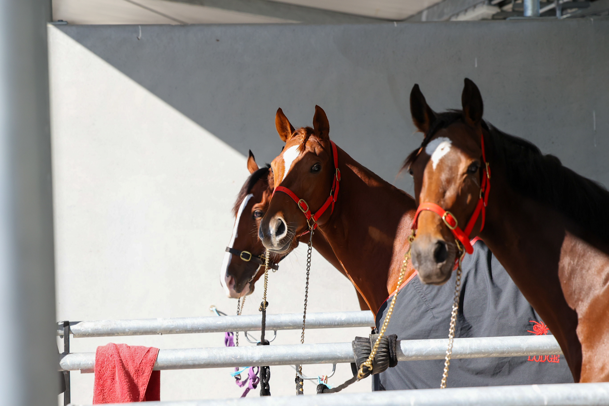 Gary Harley – Herald – 06.08.22