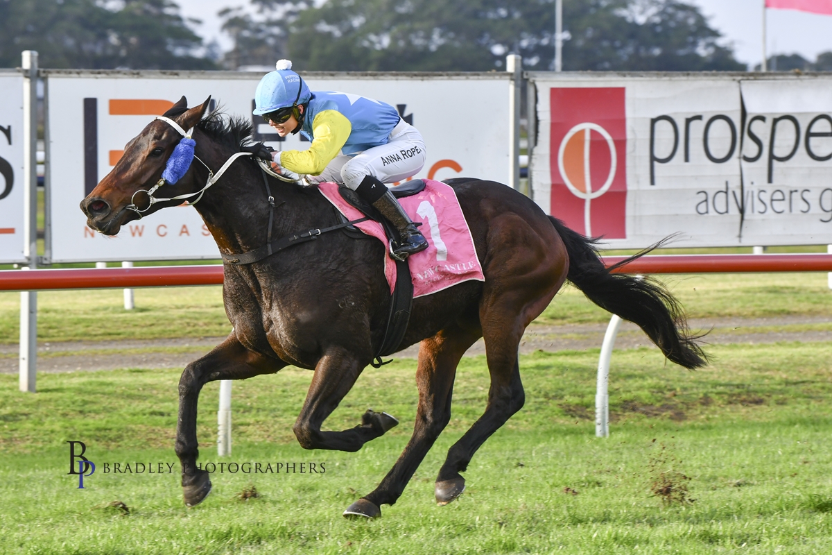 Gary Harley – Wrap – 02.07.22