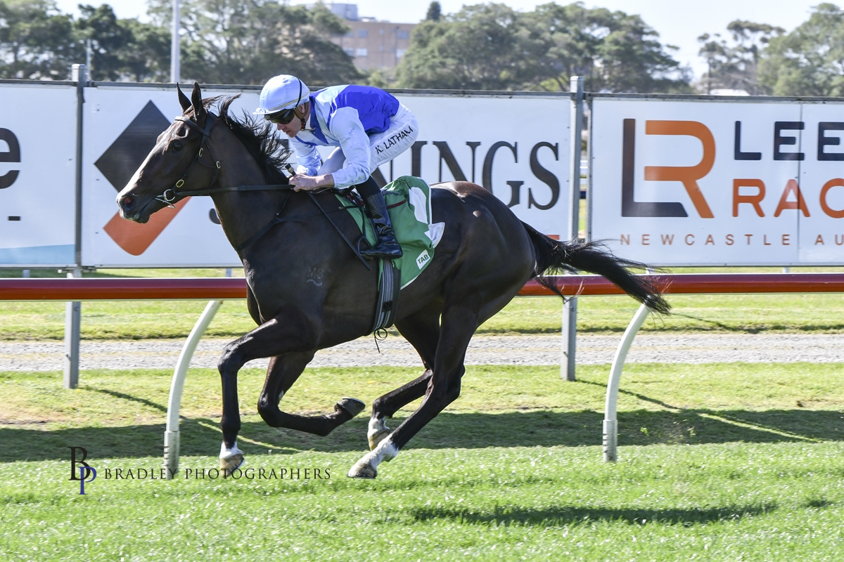 Gary Harley – Wrap – 20.08.22