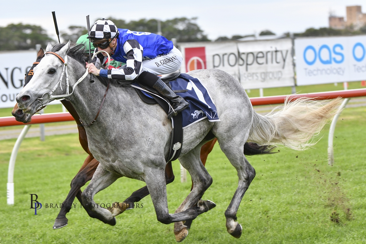 Gary Harley – Wrap – 11.08.22