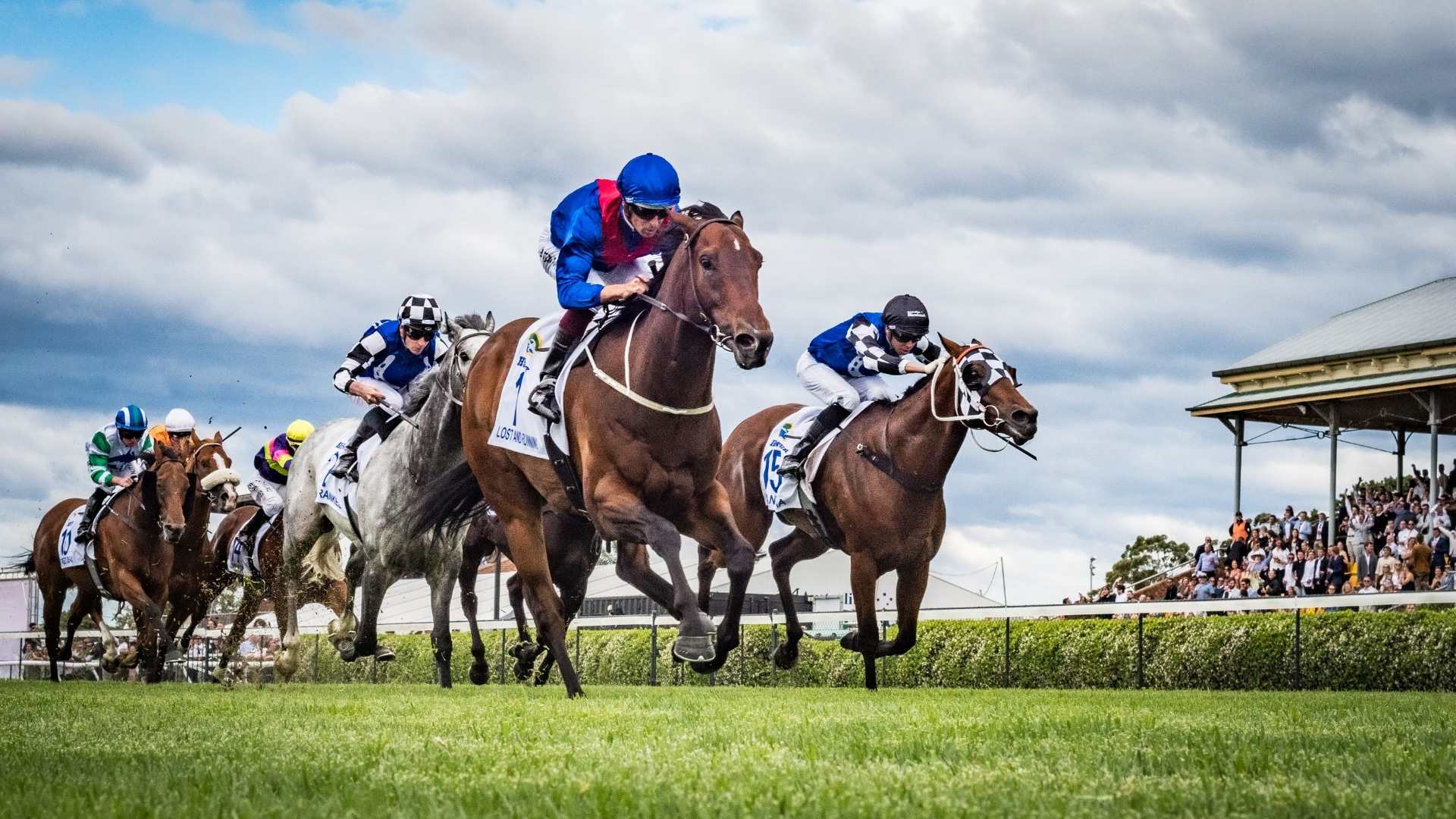 Racing NSW October 2022