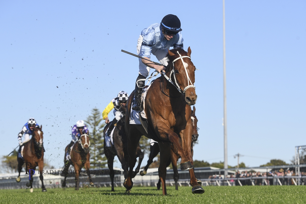 Gary Harley – Wrap – 16.09.22