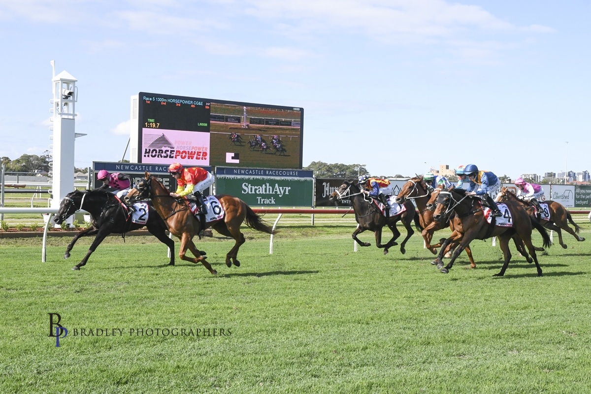 Gary Harley – Wrap – 11.10.22