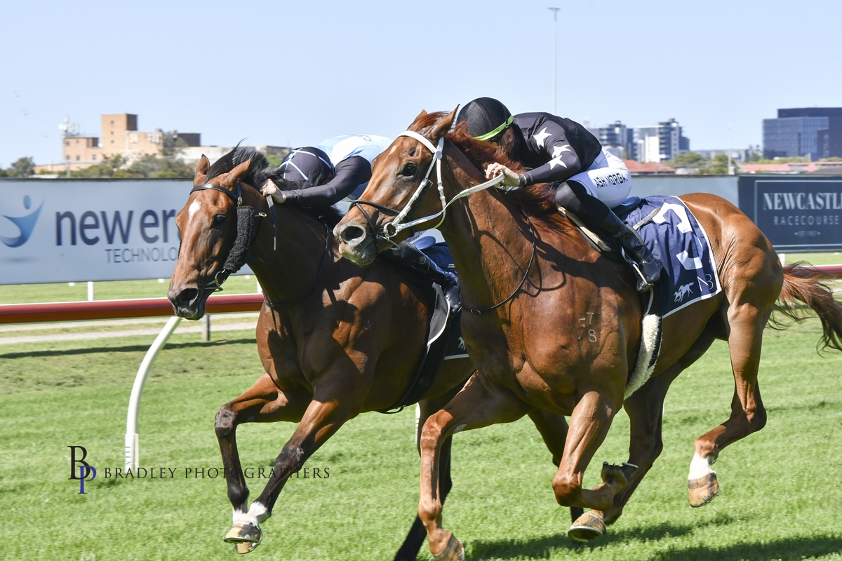 Gary Harley – 22.11.22