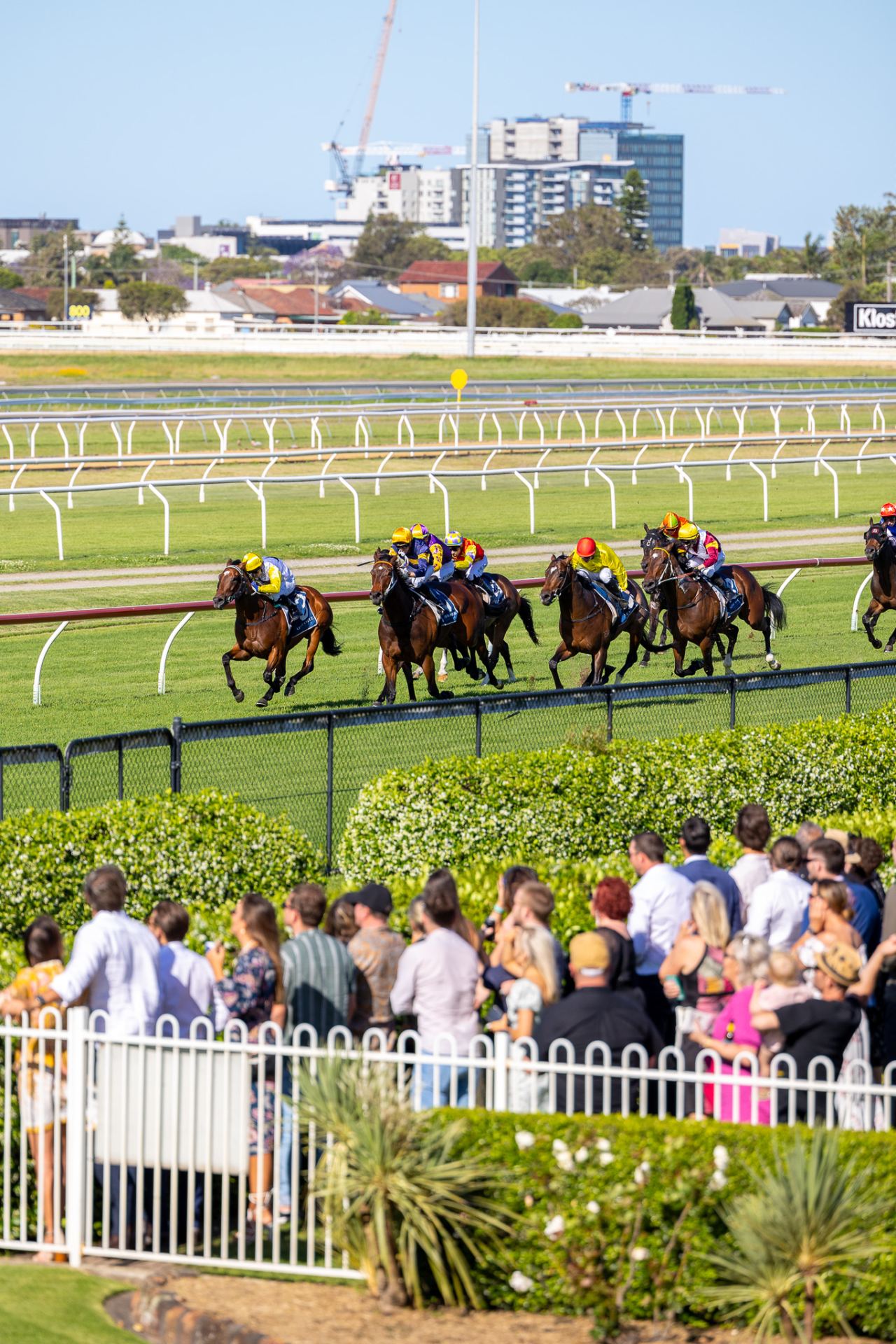 Gary Harley – Preview- 27.11.22