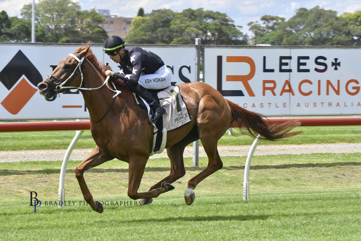 Gary Harley – Wrap – 15.11.22