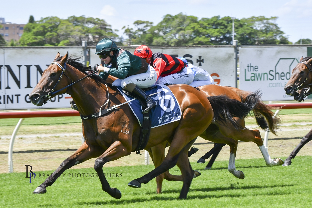 Gary Harley – Wrap – 17.01.23