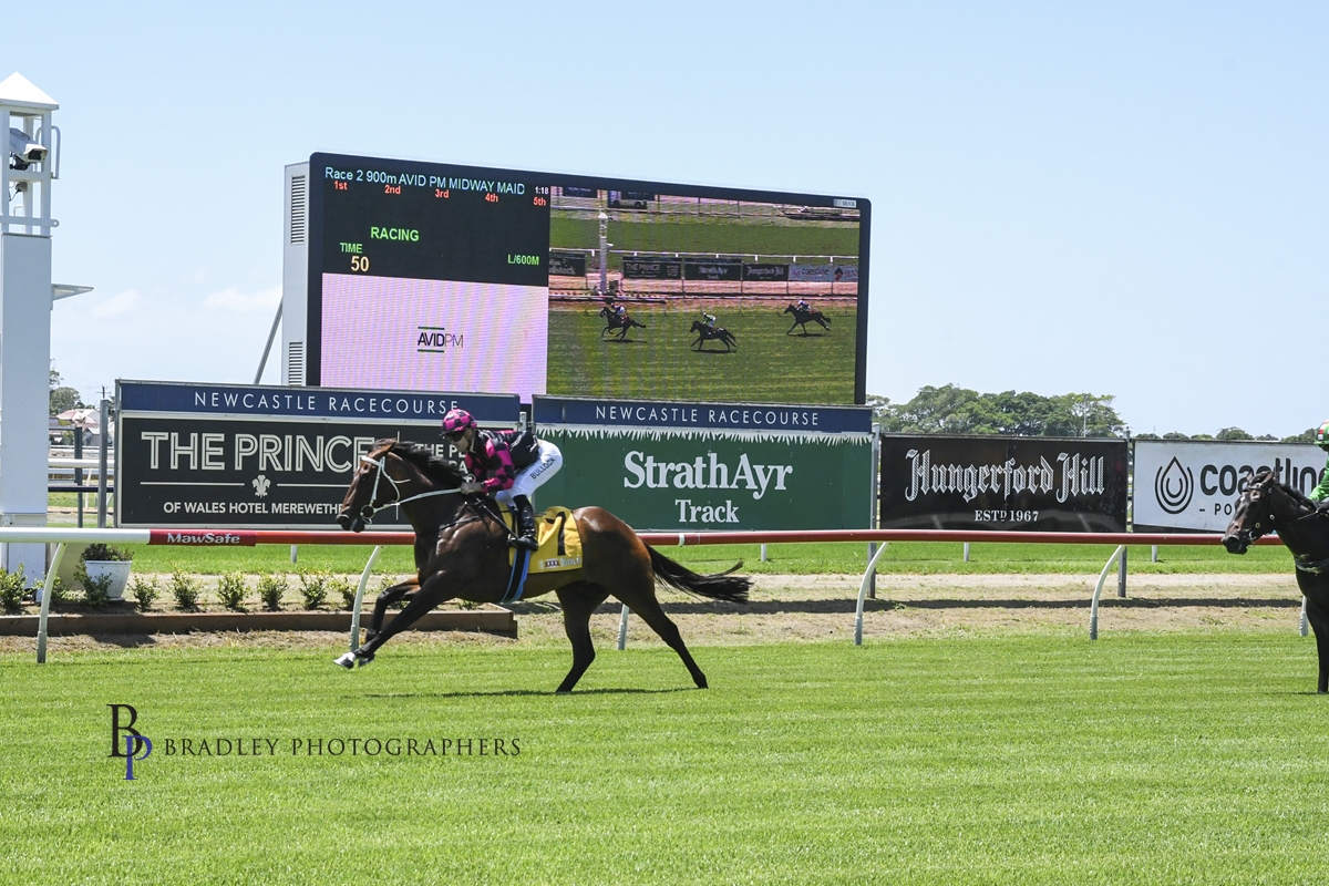 Gary Harley – Wrap – 28.01.23