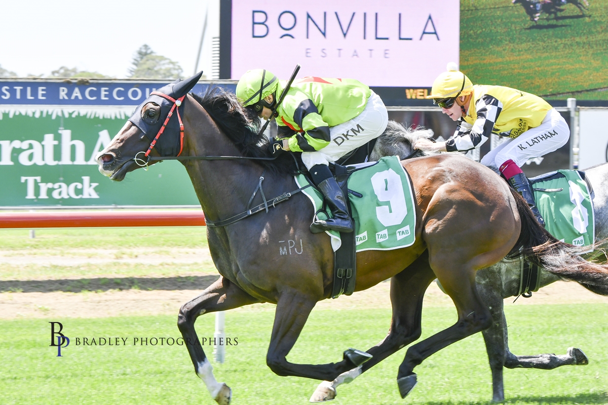 Gary Harley – Wrap – 11.02.23