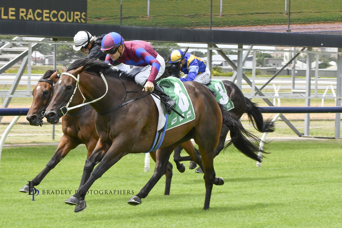 Gary Harley – Wrap – 13.02.23