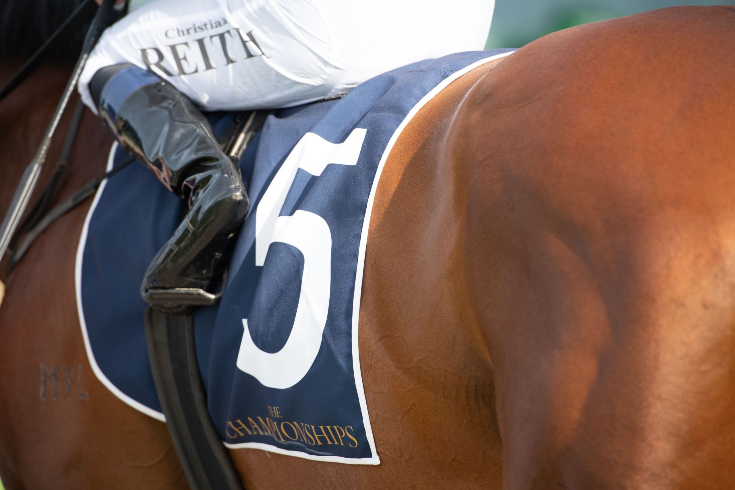 Gary Harley – Preview – 13.07.24