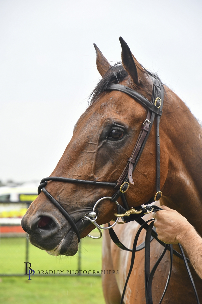 Gary Harley – Herald – 12.04.23