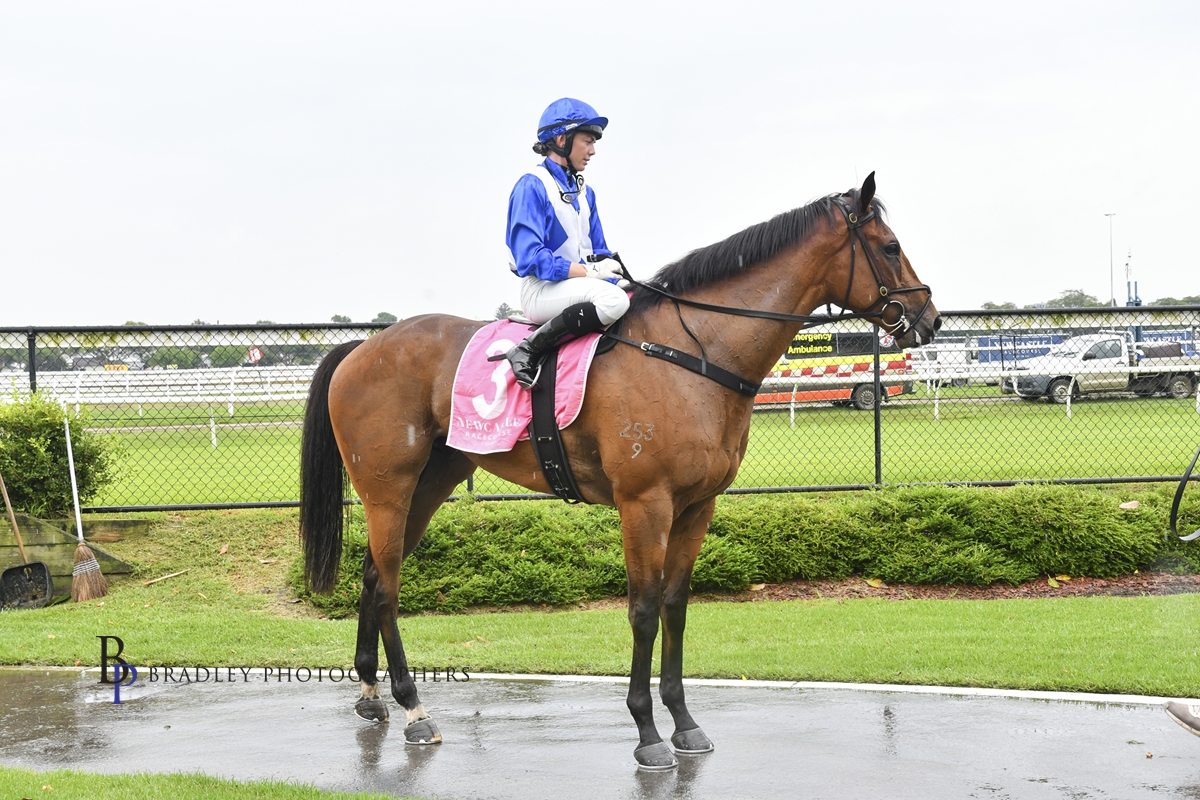 Gary Harley – Wrap – 30.01.23