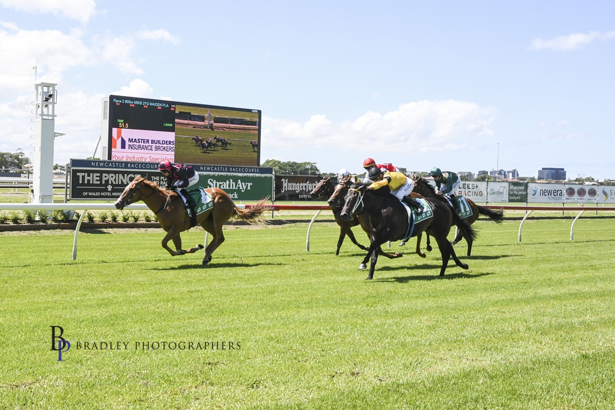 Gary Harley – Wrap- 25.02.23