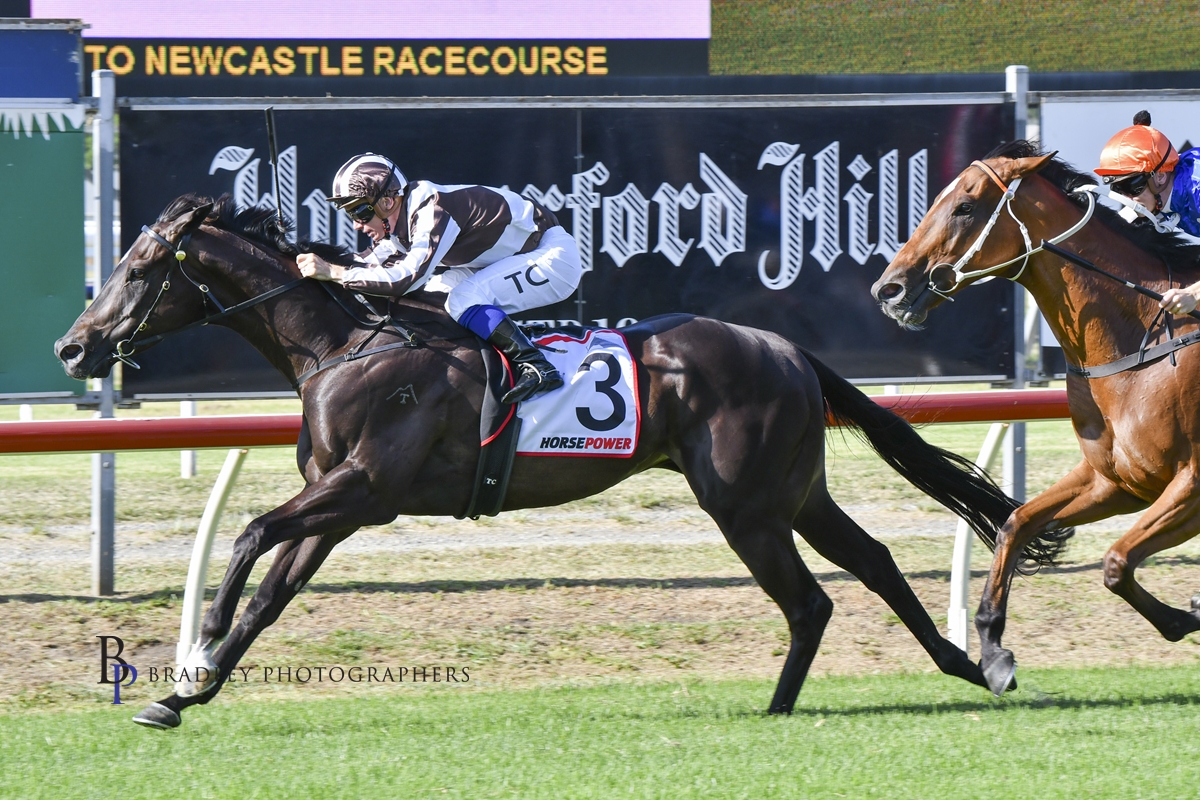 Gary Harley – Wrap – 03.03.2023