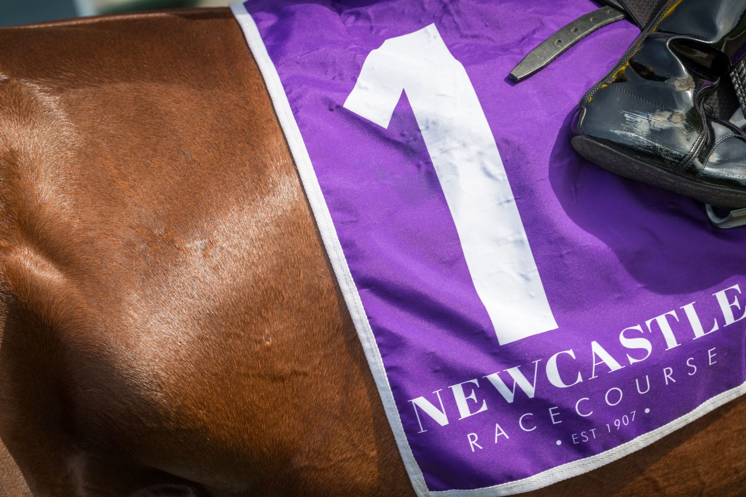 Gary Harley – Wrap – 12.04.23