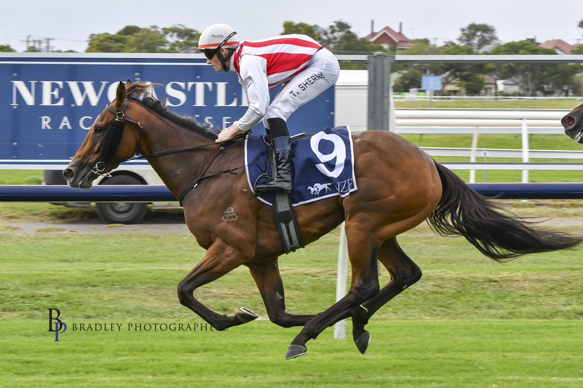 Gary Harley – Wrap- 21.03.23