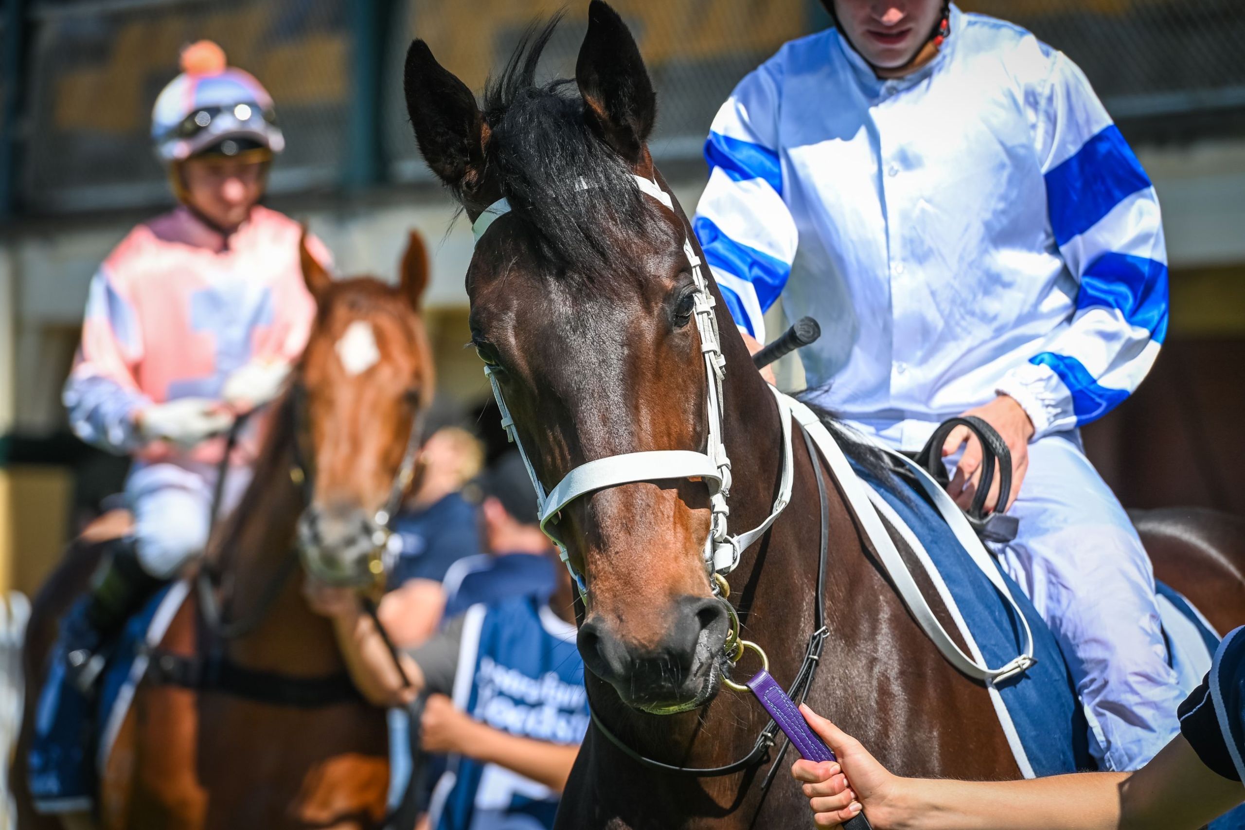 Gary Harley – Preview – 30.05.23