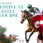 Newcastles Biggest Christmas Party Race Day