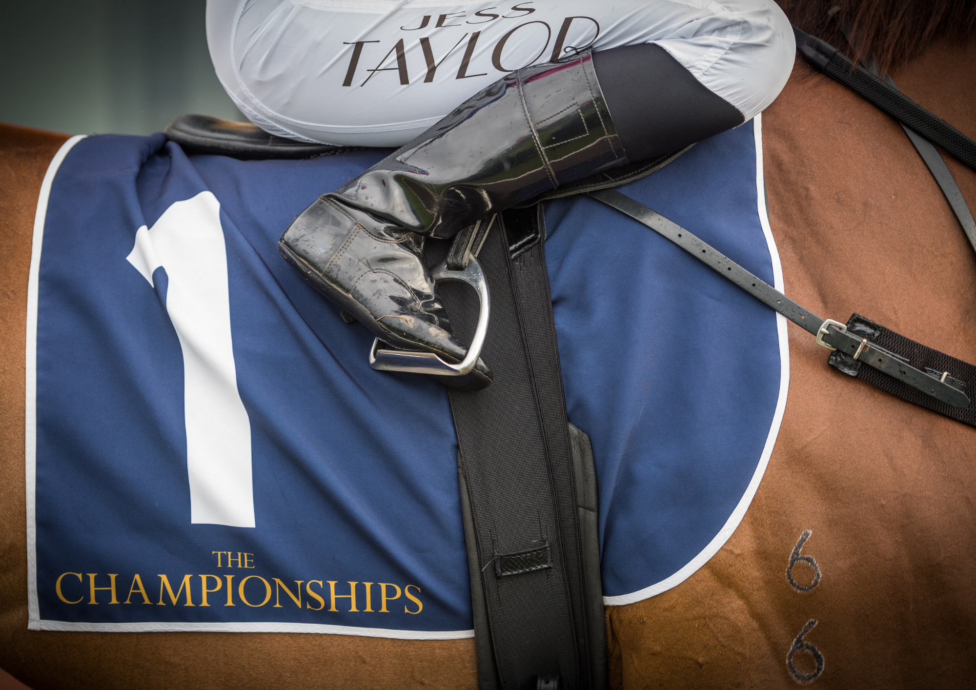 Polytrack Provincial-Midway Championships set to thrill this Saturday