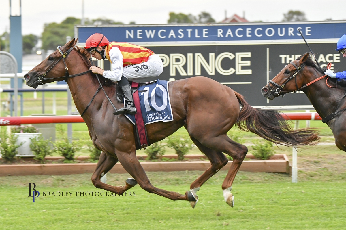 Gary Harley – Wrap – 29.04.23