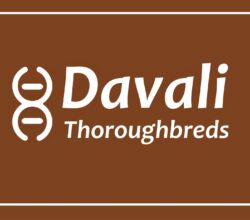 Davali Thoroughbreds