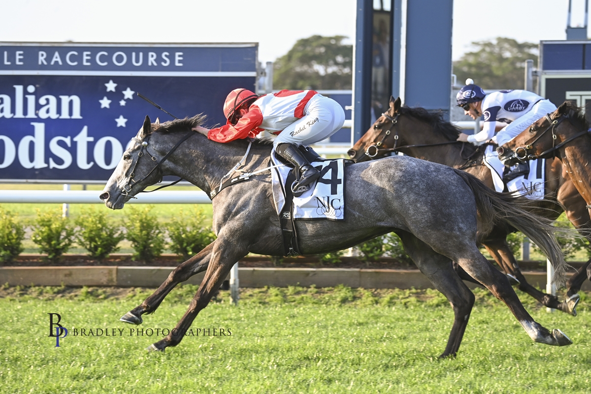 Gary Harley – Wrap – Newcastle Gold Cup 2023