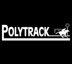Polytrack