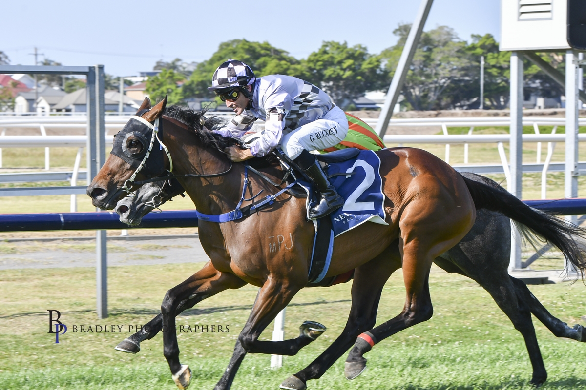 Gary Harley – Wrap – 30.10.23