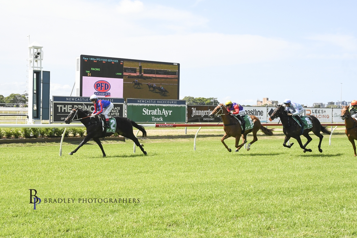 Gary Harley – Wrap- 10.10.23