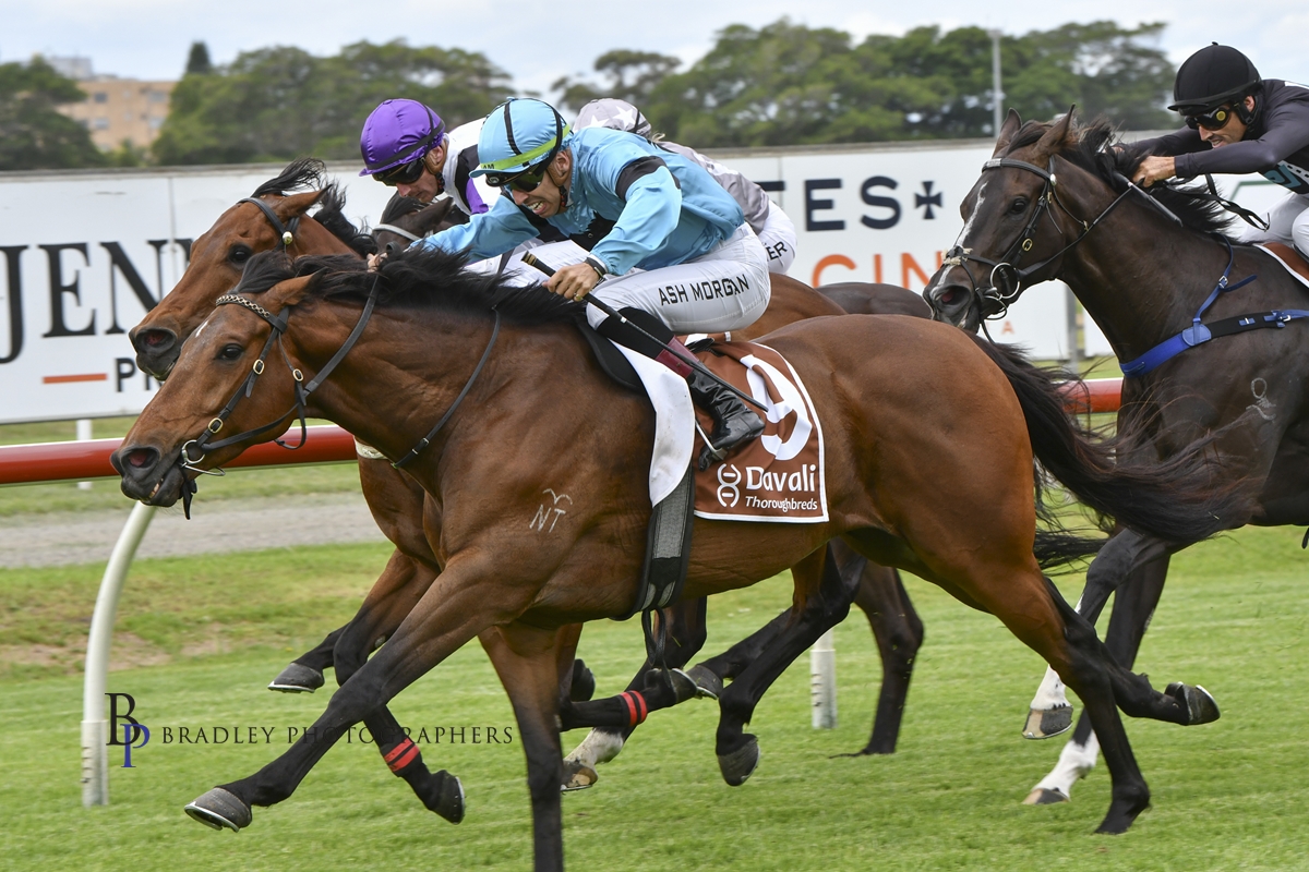 Gary Harley – Wrap – 21.11.23