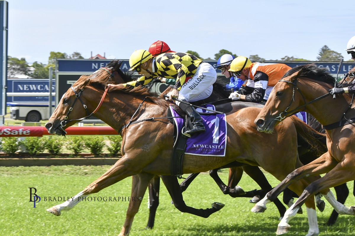 Gary Harley – Herald – 06.02.24