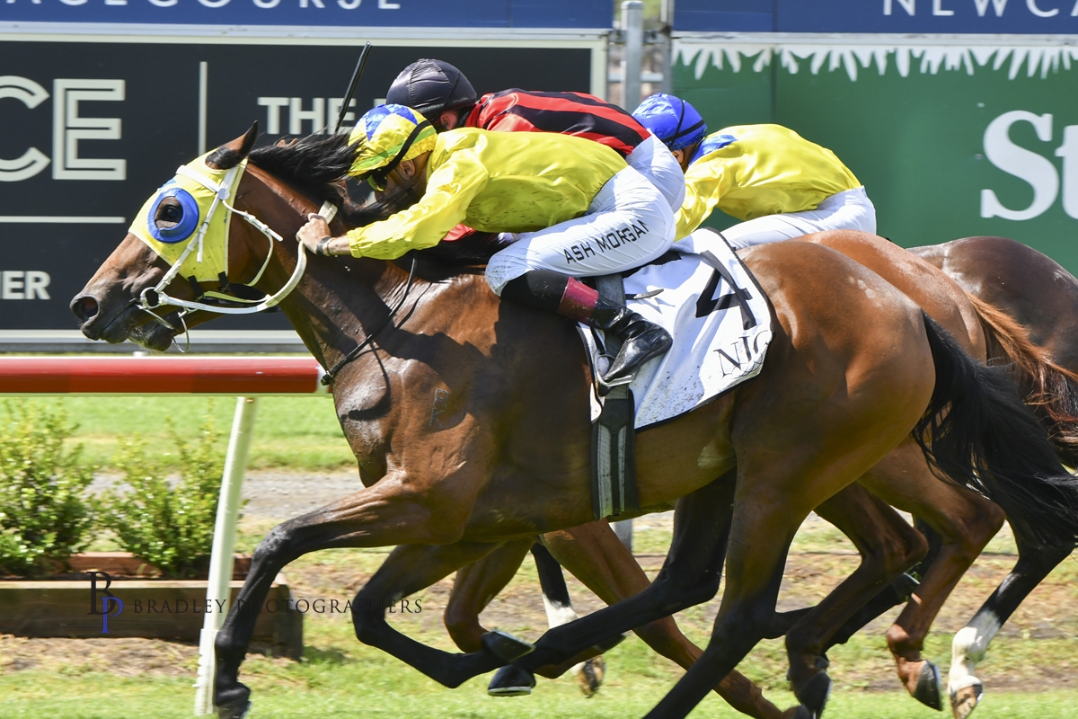 Gary Harley – Wrap – 27.11.23