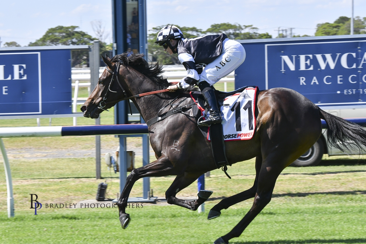 Gary Harley – Wrap – 16.12.23